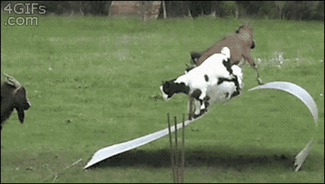37e61f18fa7eaaa5.gif