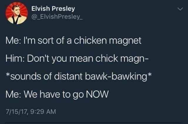 41447980_2110424832302520_5922934616158633984_n.jpg