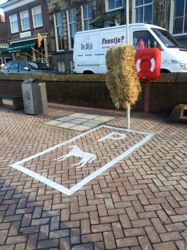 46493003_510048206140234_429713204541652992_n.jpg