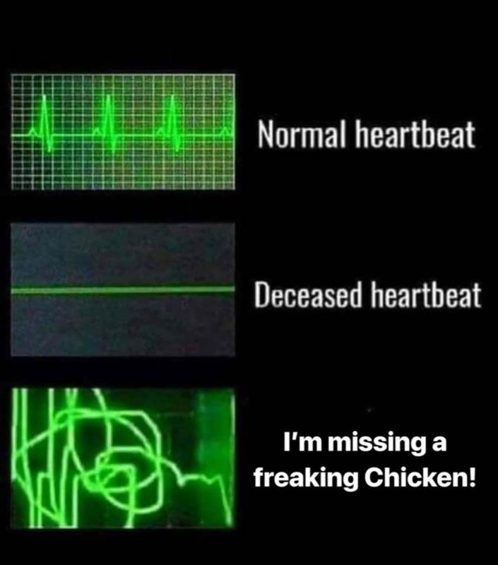 49699286_10161551841515037_2592698489024544768_n.jpg