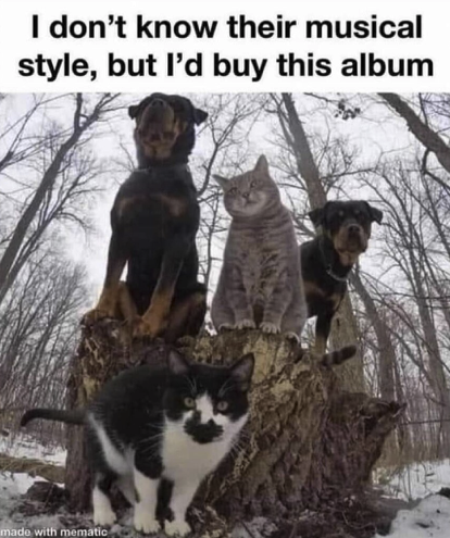 4bd7e04d4b2b6111.png