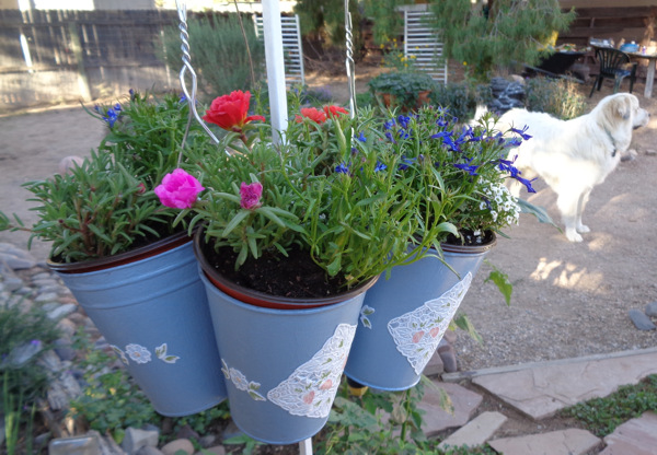5 10 16 Plant Stand 02 email.JPG