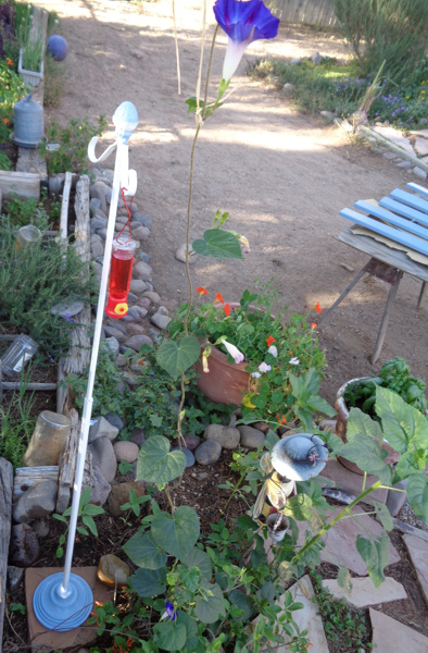 5 5 16 After photo 01 email.JPG