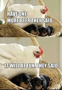 500x1000px-LL-0f113bae_funny.jpg