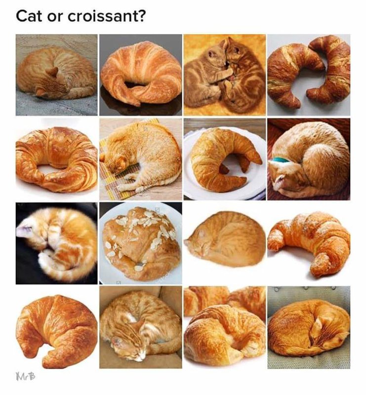 53274756_10217125696588208_116820842708467712_n.jpg