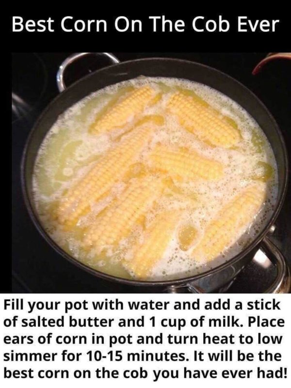 53333153_1927954073996803_7246738494217781248_n.jpg