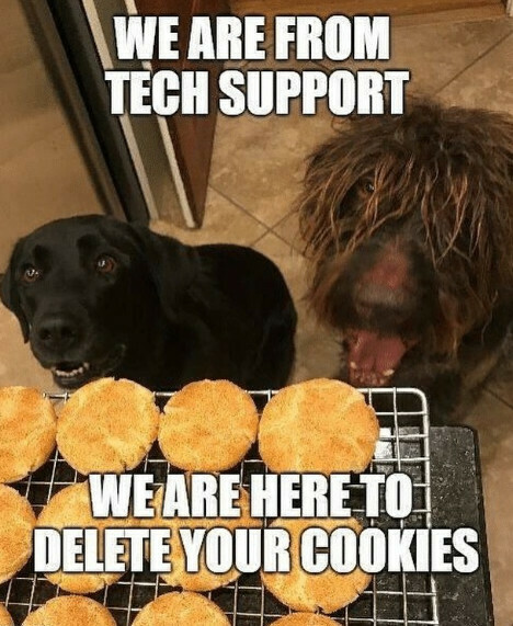 5c805f43505671c8.jpeg