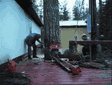 7300.gif