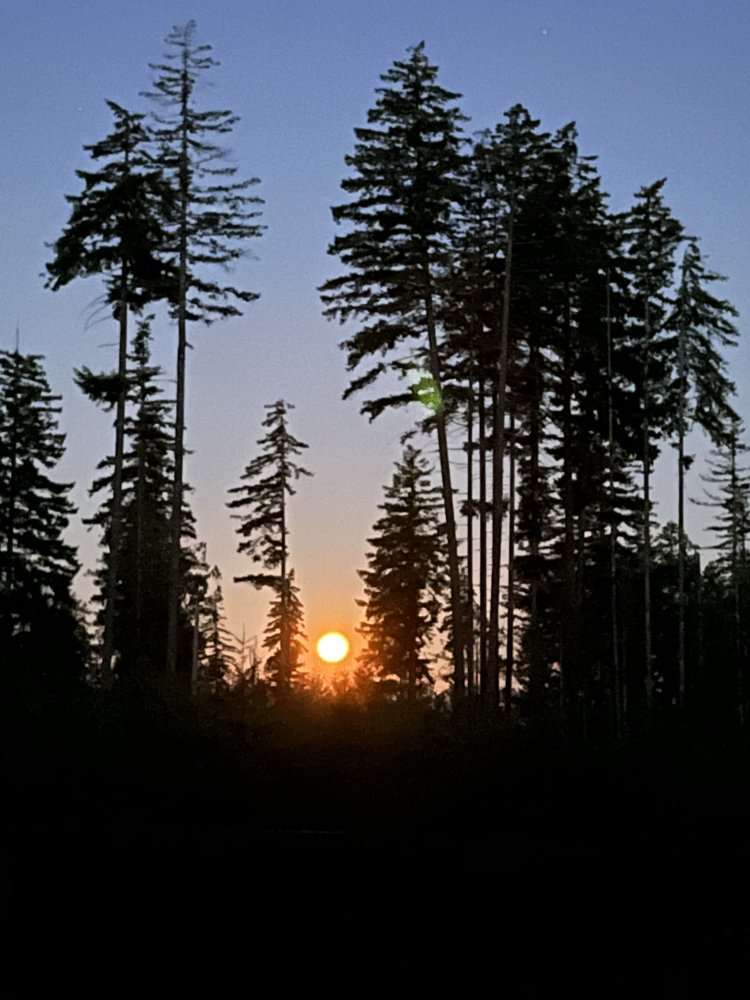7F76C5D0-BD4A-432E-B72A-4CA88848C594.jpeg
