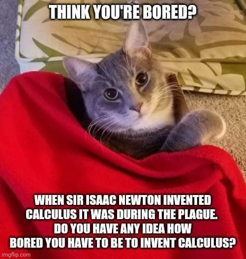 92926216_3485293308152776_230451087356723200_n.jpg