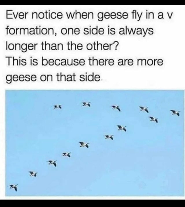9b9d4693d48efe6b.jpeg