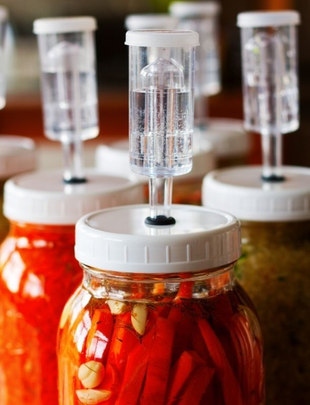 airlock-lids-fermented-vegetables-613x800-1.jpg