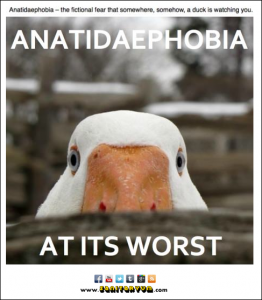 Anatidaephobia-262x300.png