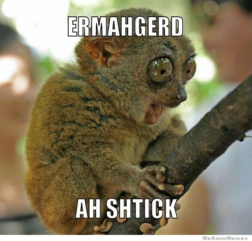 Animal Funny Memes.jpg