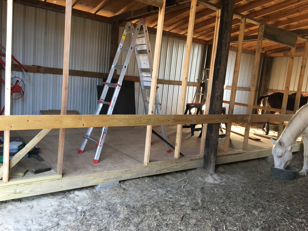 Barn 1-31-17.JPG