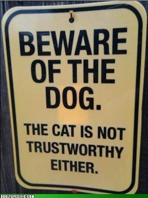 bewareofdog.jpg