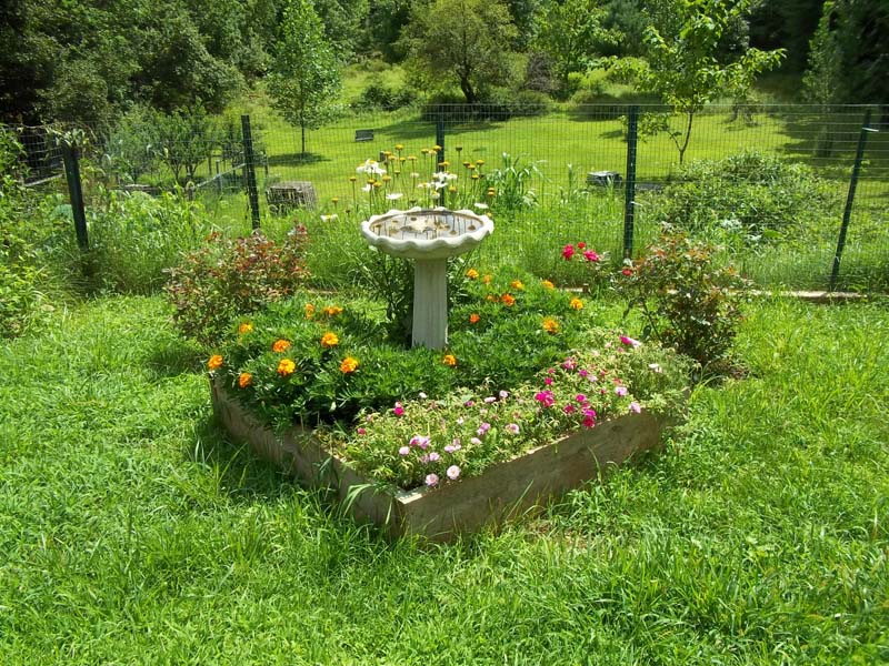 birdbath.jpg