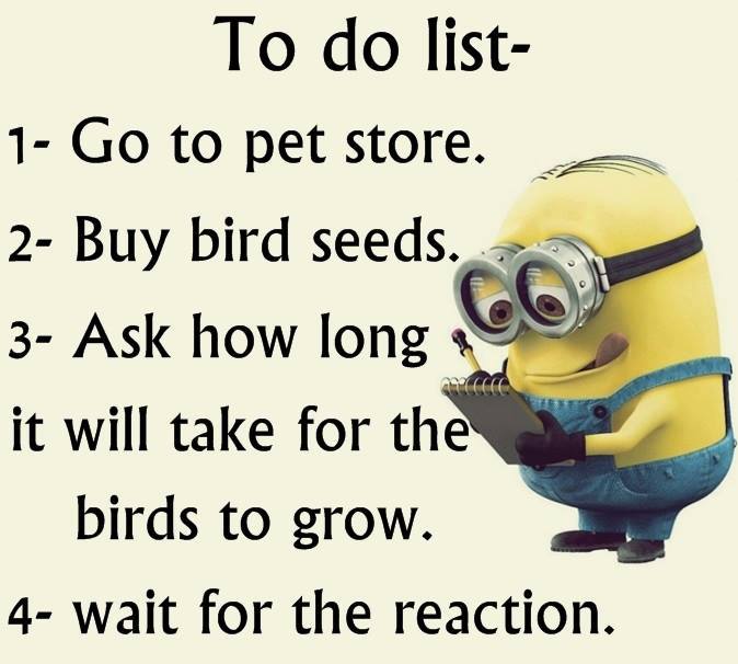 birdseed.jpg