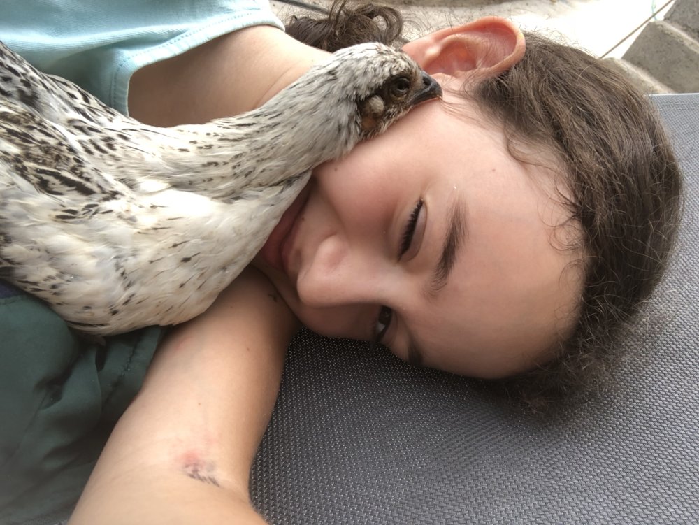 C8D39E2A-F70F-4C34-862D-EF4452577AB5.jpeg