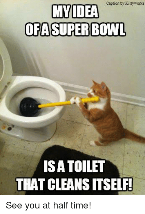 caption-by-kittyworks-my-idea-ofa-superbowl-is-a-toilet-13781569.png