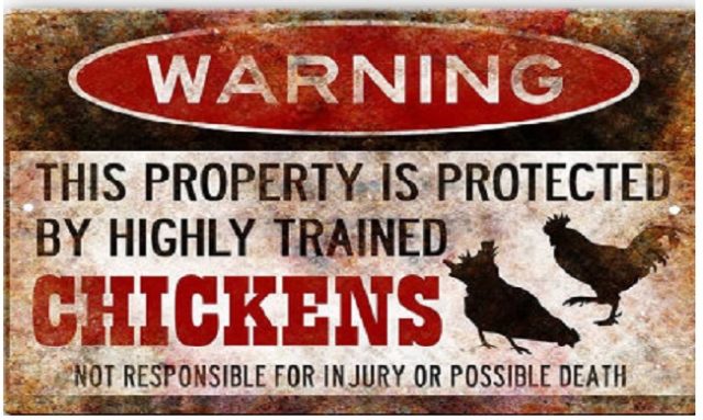 Chicken-Sign-640x383.jpg