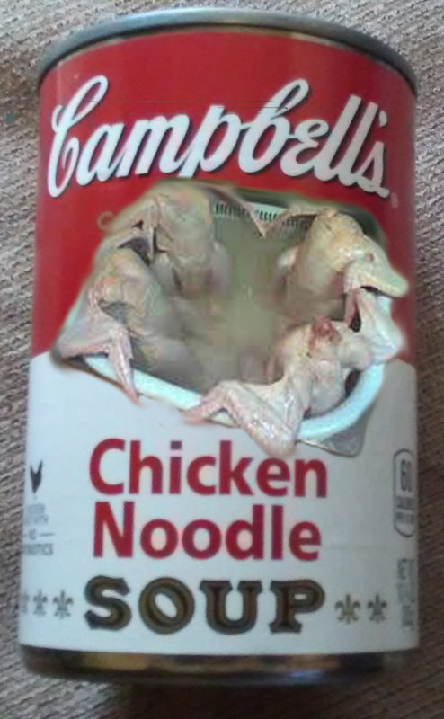 chicken soup.jpg