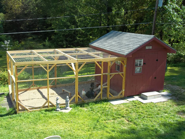 chickencoop.jpg