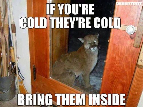 cold.jpg