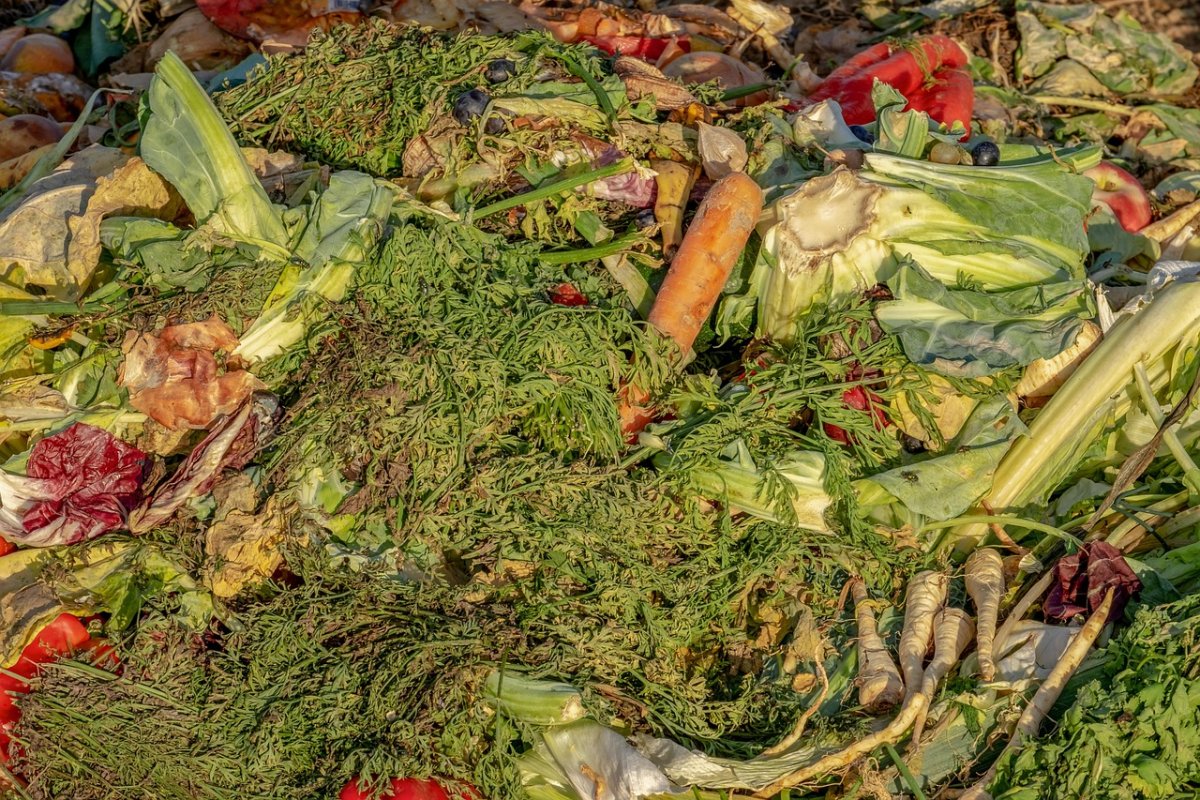 compost-3663514_1280.jpg