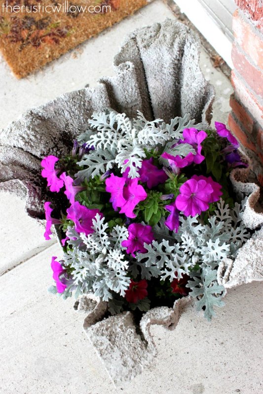 concrete-planter-9.jpg