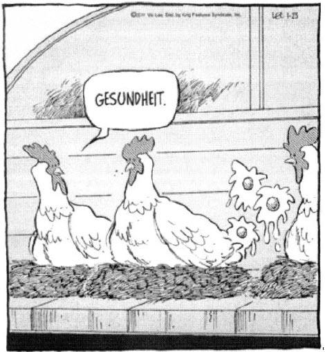 d2586d03_69266_chicken_comic.jpg