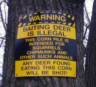 deer sign.jpg