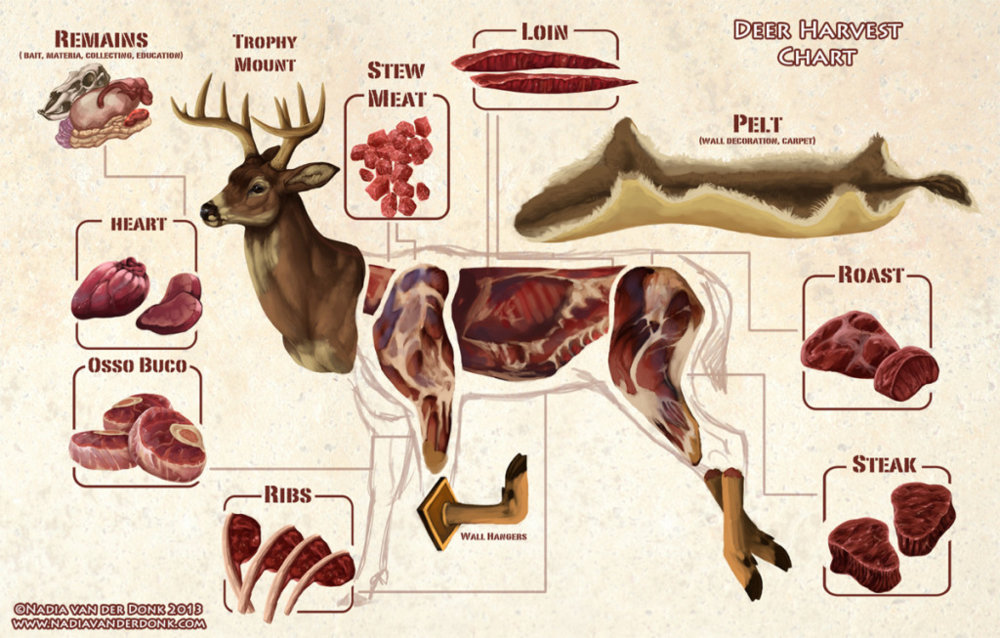 deermeatchart (1).jpg
