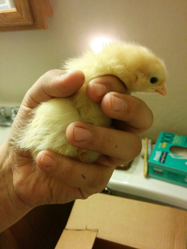 download_20141020_221738.jpeg