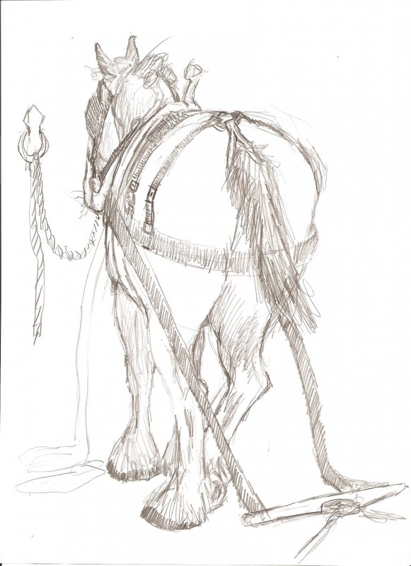 draft sketch.jpg