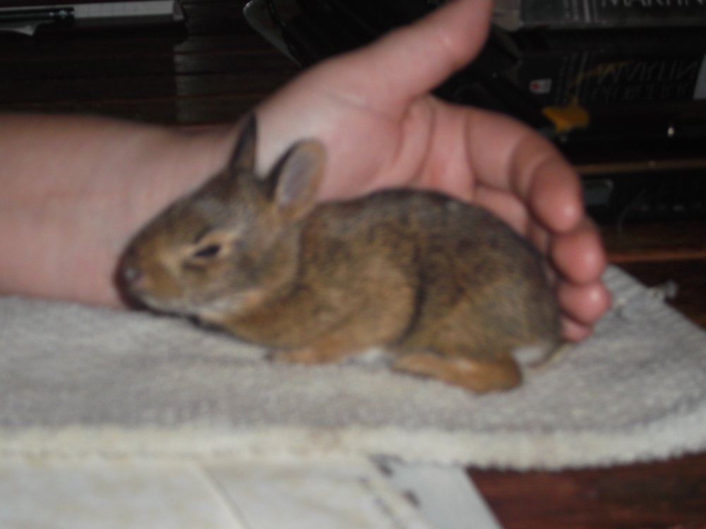DSCF0681.JPG
