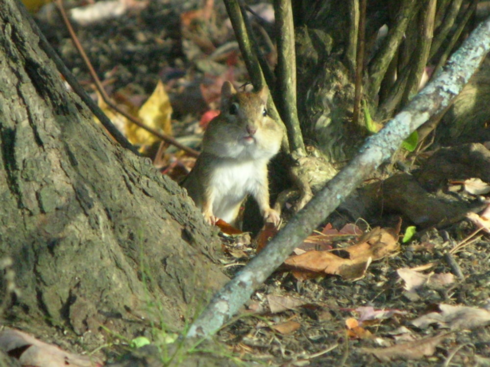 DSCN0150.JPG