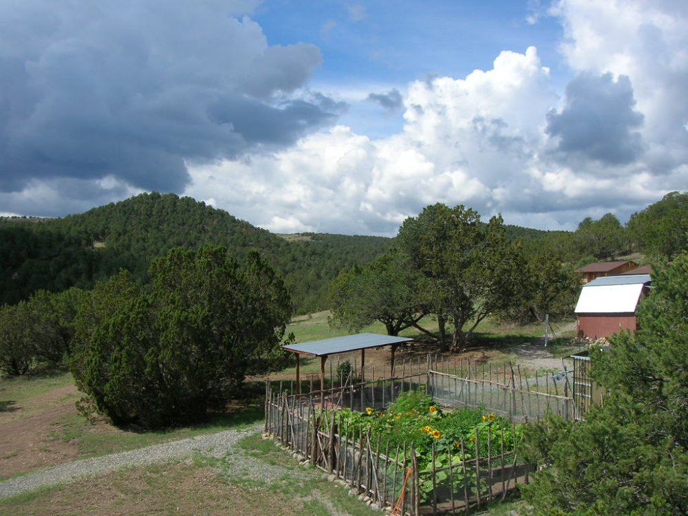 DSCN2346.JPG