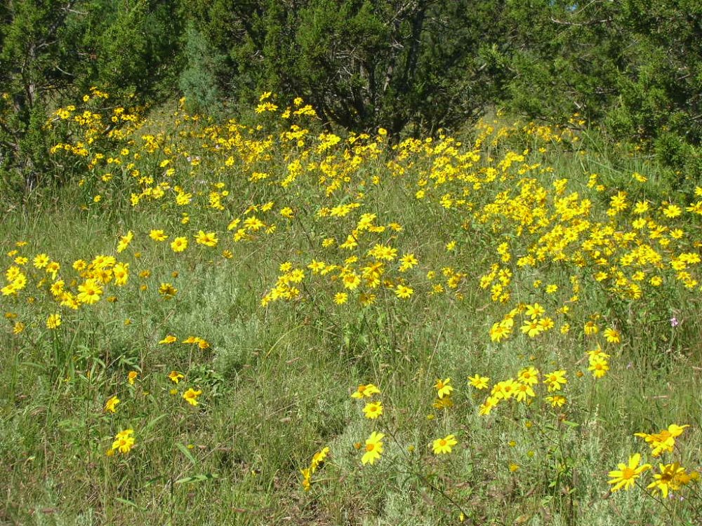 DSCN3037.JPG