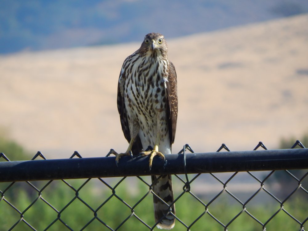 DSCN4142.JPG