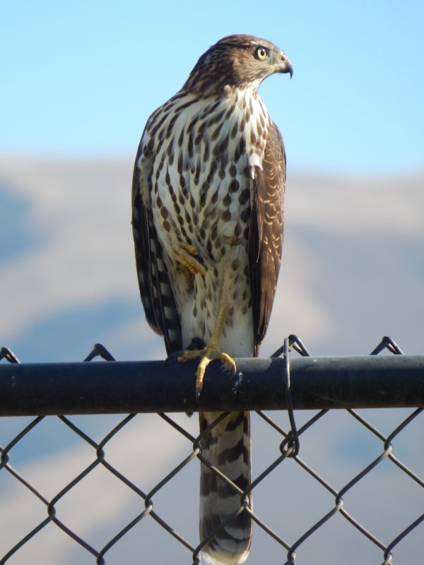 DSCN4144.JPG