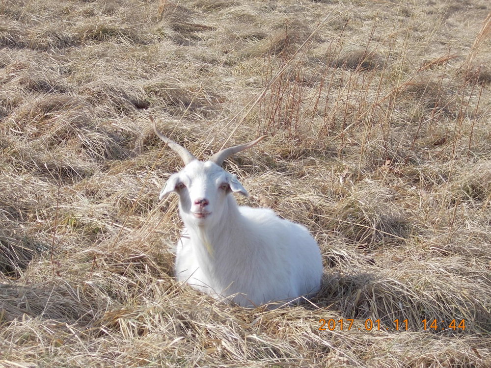 DSCN4440.JPG