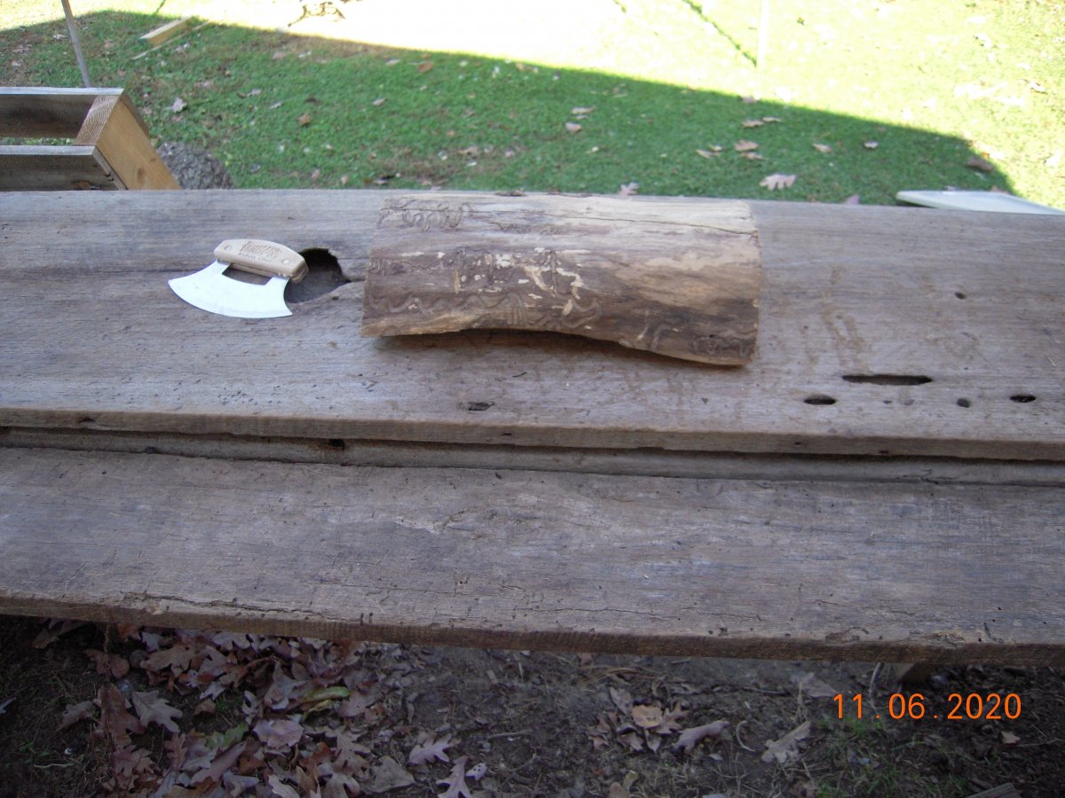 DSCN6543.jpg