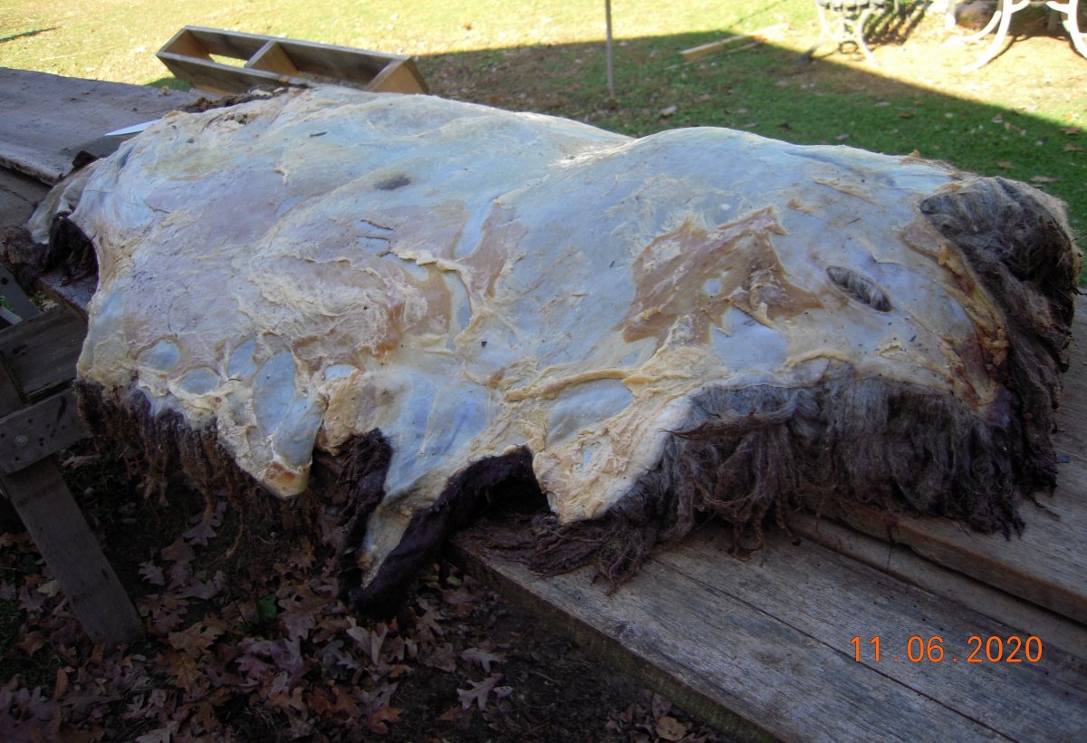 DSCN6545.jpg