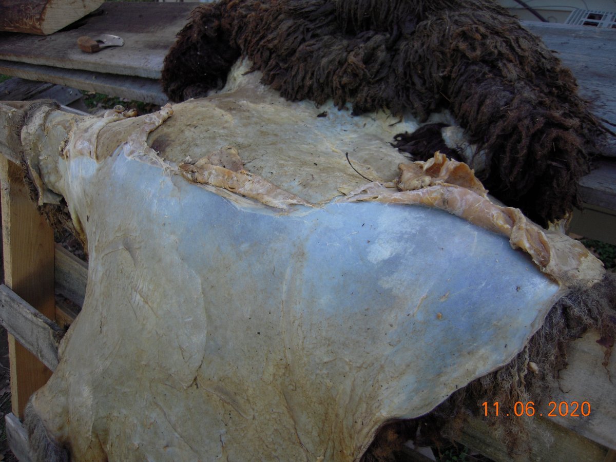 DSCN6550.jpg