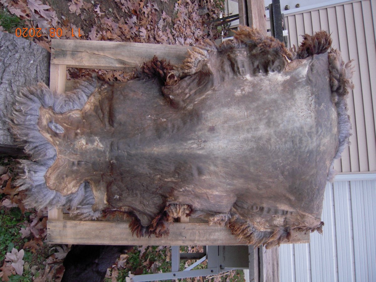DSCN6554.jpg