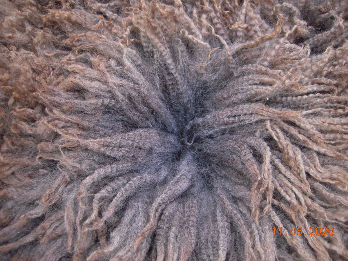 DSCN6556.jpg