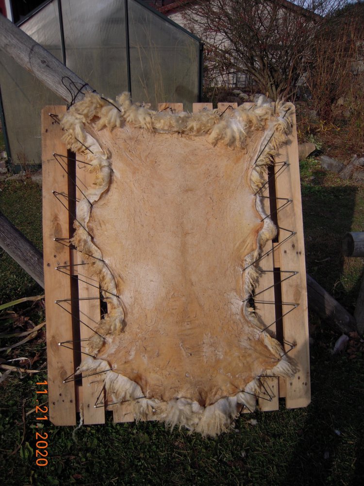 DSCN6563.jpg