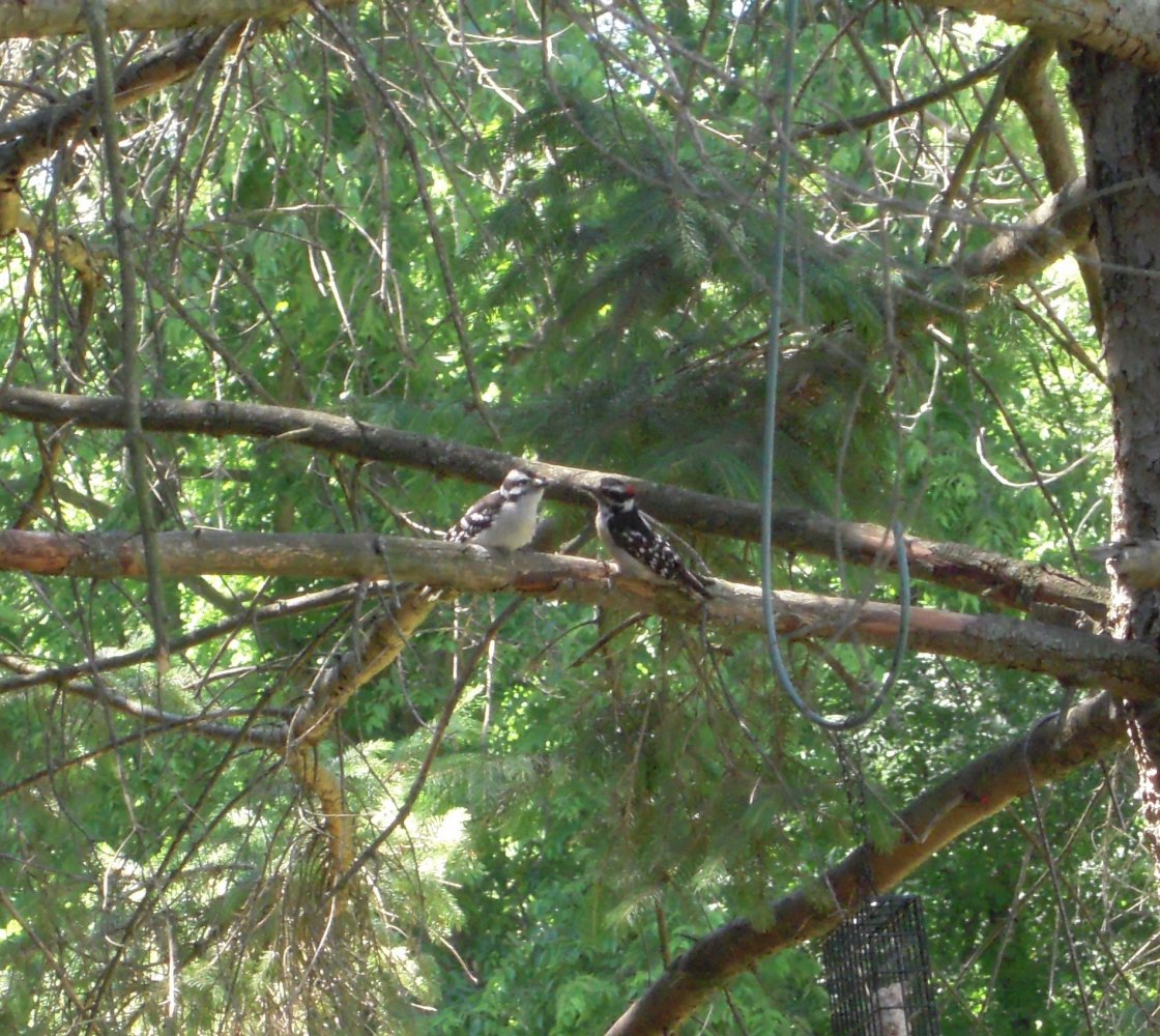 DSCN6695.jpg