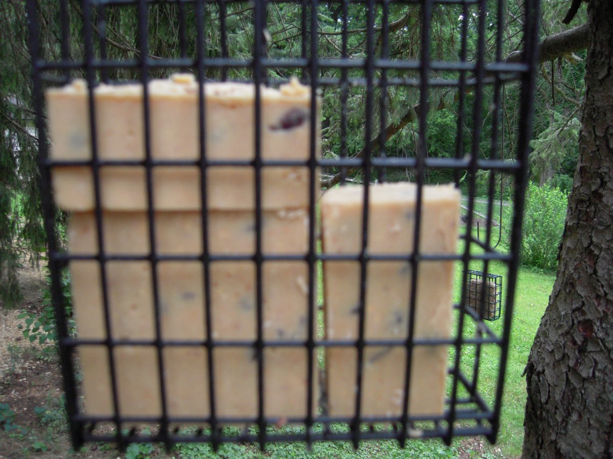 DSCN6725.jpg